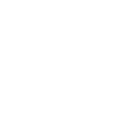 Arnold Renderer