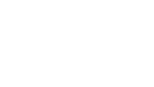Anybotics