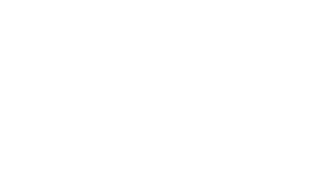 Point Flottant