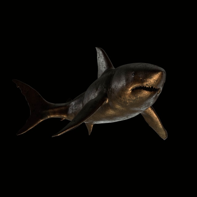 3D render of a shark with a procedural bronzo material
